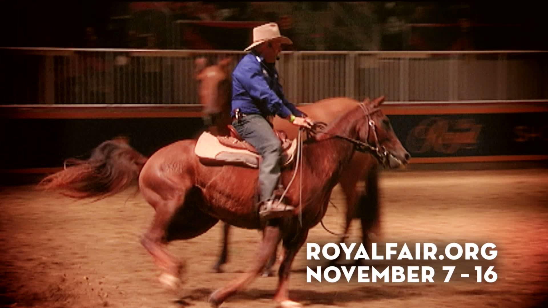 The Royal, Branded & Corporate — Rancho Fantastico